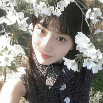 陛下皇后又动手了